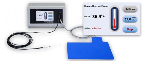 Homeothermic Monitoring System for Small Rodents